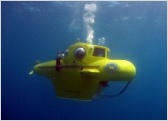Our subs - everything you need to know about our submarines