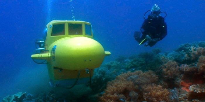 Safety diver always close by for the whole of the dive.
