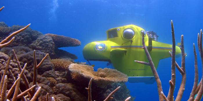 Everyone can talk with each other while under water - cool.