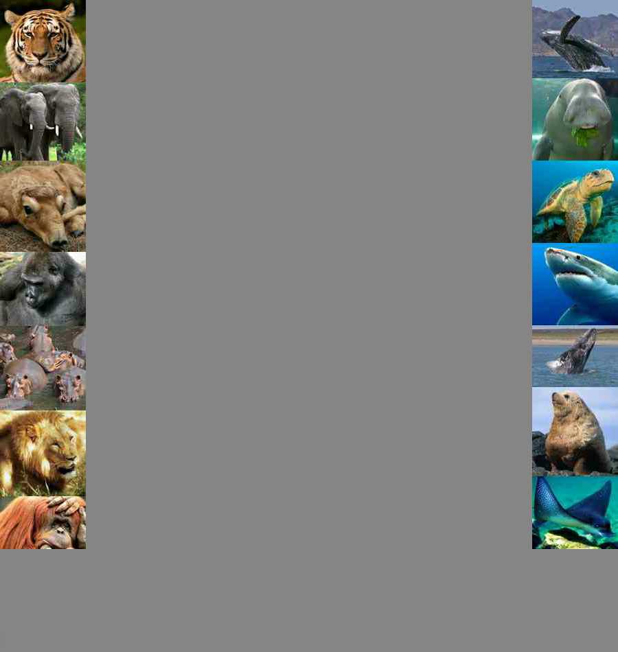 We give a proportion of annual profits to two conservation charities